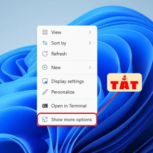 Cách tắt "Show more options" Win 11